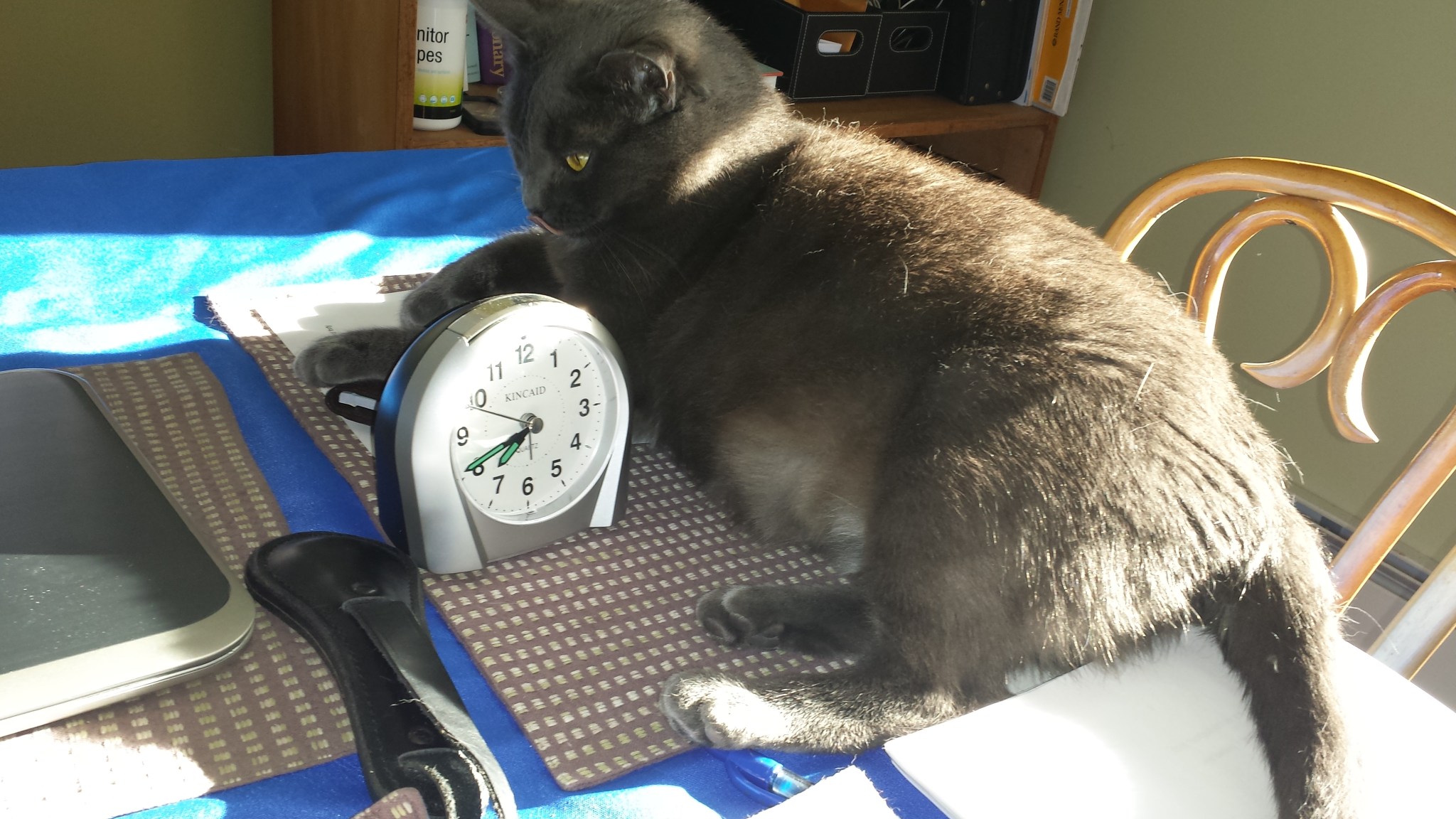 My Research Assistant